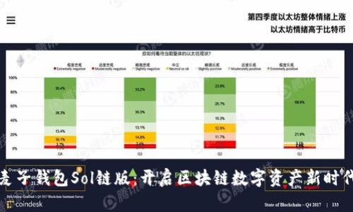 麦子钱包Sol链版：开启区块链数字资产新时代